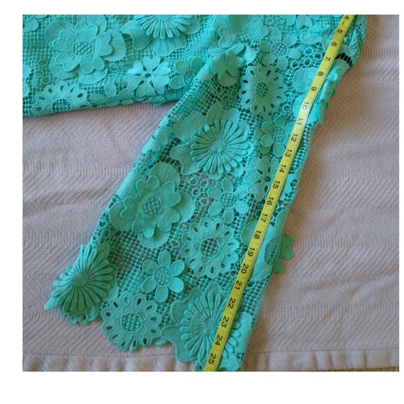 NWT! J.Marie Dress ONLY $59! Retail $168! Seraphina Floral 3D Lace Sz XS - Picture 7 of 8